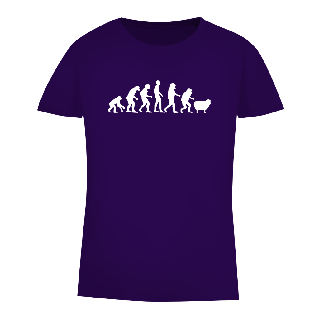 Damen Premium Bio T-Shirt Devolution