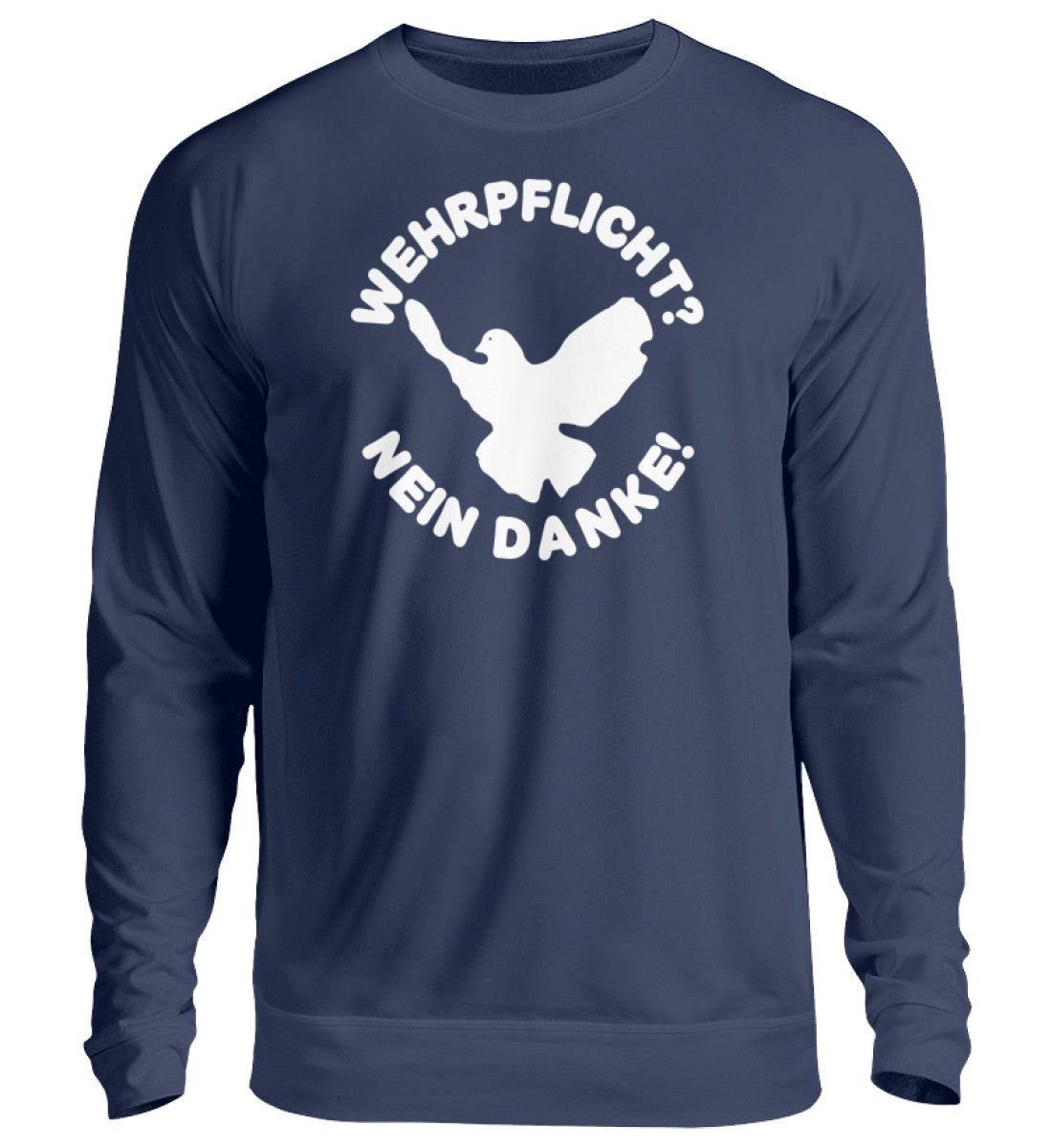 New French Navy-1676