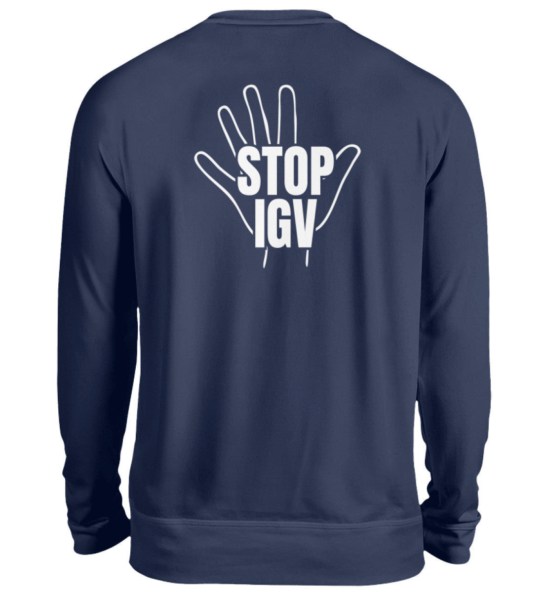 New French Navy-1676